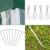 Pepita Garten Pavillon 3x3m #grün 124600417