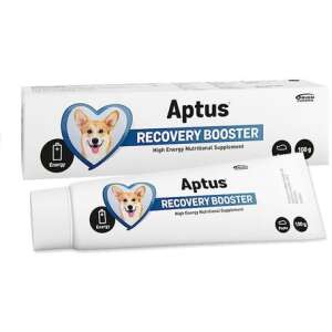 Aptus Recovery Booster Dog lábadozást elősegítő paszta 100 g 51922613 