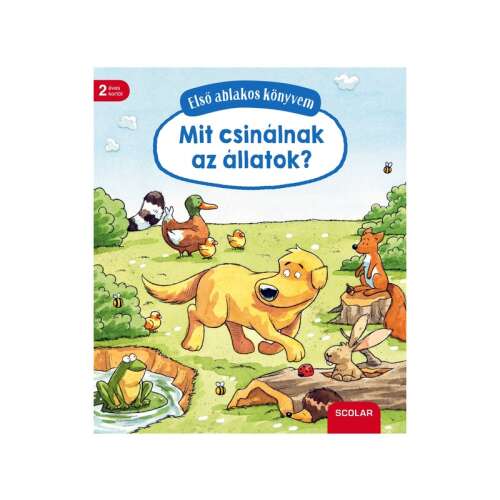 Mit csinálnak az állatok ablakos könyv
