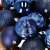 Springos 8cm navy blue Christmas tree ornaments on a wreath