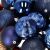 Various navy blue Springos Christmas tree ornaments close-up