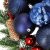 Close-up of navy blue Springos Christmas tree ornaments with pine cones