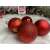 Springos 6 cm rote Weihnachtsbaumkugeln, mit 3 verschiedenen Ausführungen: matt, glänzend und glitzernd.
