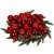 Set of 30 red Christmas tree baubles, 6 cm, Springos