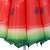 Close-up of Springos watermelon beach umbrella fabric