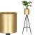 Springos metal plant stand with gold pot, black tripod stand, plant in pot