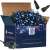 Springos 300 LED blue Christmas lights, in box