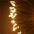 Close-up of illuminated Springos 100 LED firework light, warm white