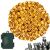 Springos Warm White Battery Operated LED String Lights with Timer and 8 Modes
