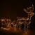Illuminated Springos reindeer with sleigh Christmas decoration
