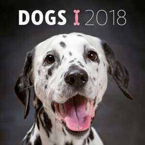 Dogs 2018 - Naptár 46844119 