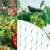 Springos bird net with 14 fixing pegs, protecting fruit trees from birds, collage of usage examples