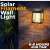 Solar filament wall light, black, with Edison bulb, 6-8 hours run time