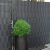 Springos graphite fence privacy screen with decorative plant in front.