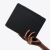Baseus Safattach iPad Pro 10.5 inch magnetic case in hand