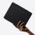 Baseus Safattach iPad Pro 10.5 inch magnetic case in hand