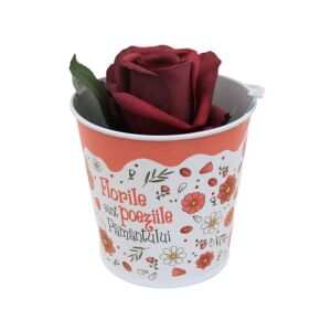 Virágtartó 13.5 cm flower pot with 'Flowers are the poems of the Earth' inscription and a red rose - Landscaping