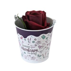 Fazéktartó 10 cm 'A tanárnőnek szeretettel' flower pot with rose, teacher appreciation gift idea - Landscaping