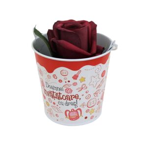Fazéktartó 10 cm "A tanárnőnek szeretettel" Blumentopf mit Rose, Geschenkidee für Lehrer - Nekupto