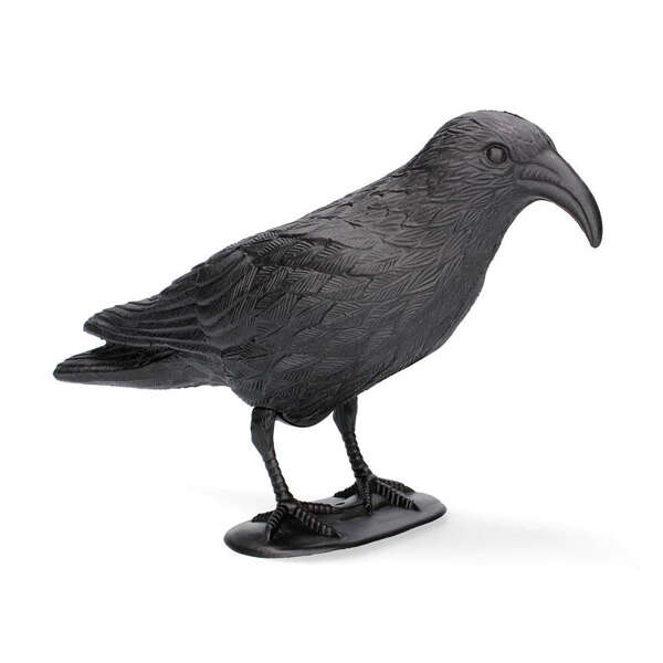 Odpudzovač vtákov, model vrany, 36 x 13 x 18 cm, Garden Line
