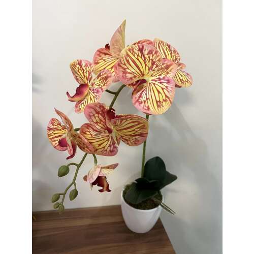 1 szálas orchidea kerámia kaspóban csíkos  54300743