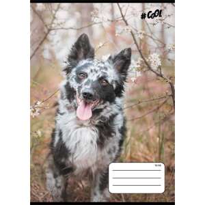 COOL BY VICTORIA Füzet, tűzött, A5, vonalas, 32 lap, 3. osztály, COOL BY VICTORIA, "Dogs", 12-32