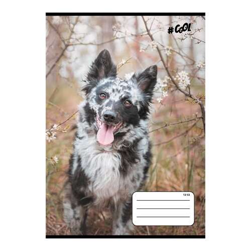 COOL BY VICTORIA Notebook, stapled, A5, ruled, 32 pages, Class 3, COOL BY VICTORIA, "Dogs", 12-32