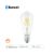 Ledvance Smart+ BT FIL Edison E27 smart bulb compatible with Apple HomeKit, Amazon Alexa, Google Assistant