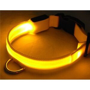 LED Dog Collar Light-up Dog Collar Lemon Yellow M 135419877 - Pet Collar