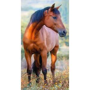 Lovas arctörlő / törölköző - 50x30 cm - barna lovas 54535239 