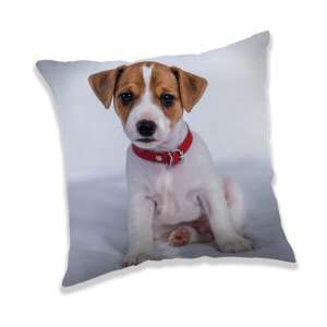 Kutyás díszpárna, 40x40 cm, 100% poliészter - Díszpárna