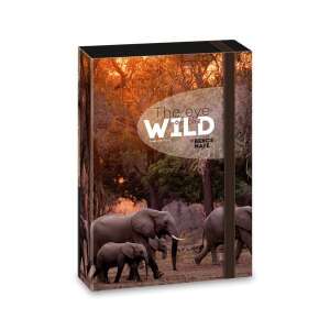 Máté Bence The Eyes of the Wild füzetbox, A5 méret, elefántos mintával - Füzetbox