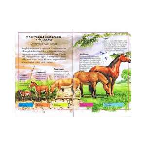 Olvass velünk - A lovak története könyv - 3. szint 54542134 Mesekönyv