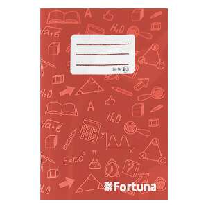 Fortuna Basic kockás füzet - A5 - 27-32 54542760 