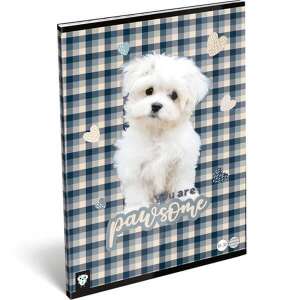 LizzyCard - Kutyás A4-es Vonalkázott Füzet