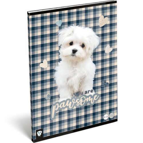 Lizzy Card KBK A4-es vonalas füzet aranyos fehér kutyás mintával, lányoknak és fiúknak. Pawsome design.