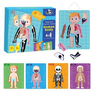 Az emberi test - Panda Juniors - Human Body