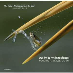 Az év természetfotói - Magyarország 2019 könyv borítója, egy vízből kiugró halat ábrázol - Művészet & Építészet