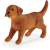 Schleich labrador puppy figurine