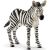 Schleich Zebra Csikó Játékfigura - Valósághű Állat Replika