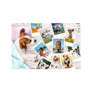 Trefl - Kutyás Nyári Kalandok Puzzle - 300 db