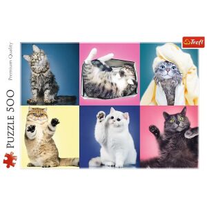 Trefl Katzen Puzzle, 500 Teile, mit niedlichen Katzenfotos - Trefl Puzzle