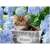 Kitten in Flowers, 300 piece puzzle