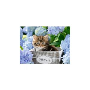 Ravensburger Kicsi Cicák Puzzle Bild: Süßes Kätzchen in einer Blumenkiste - Ravensburger Puzzle