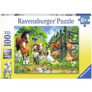 Állati buli 100 darabos XXL puzzle 85264357 