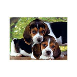 Puzzle Clementoni High Quality Collection cu 500 de piese, cu doi pui de beagle - Puzzle 3D & Puzzle cu burete