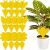 12 pcs Sticky Insect Traps 55341574