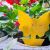 12 pcs Sticky Insect Traps 55341574