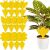 12 pcs Sticky Insect Traps 55341574