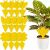 12 pcs Sticky Insect Traps 55341574